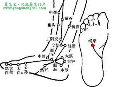 竹山里穴位